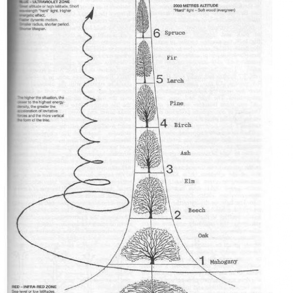 Amber & Jet adjustable necklace with upcycled headphone magnet